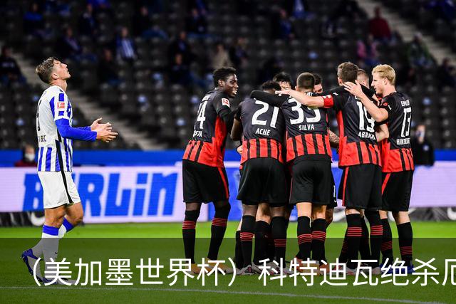 （美加墨世界杯）科特迪瓦绝杀厄瓜多尔 瑞典5:1大胜突尼斯